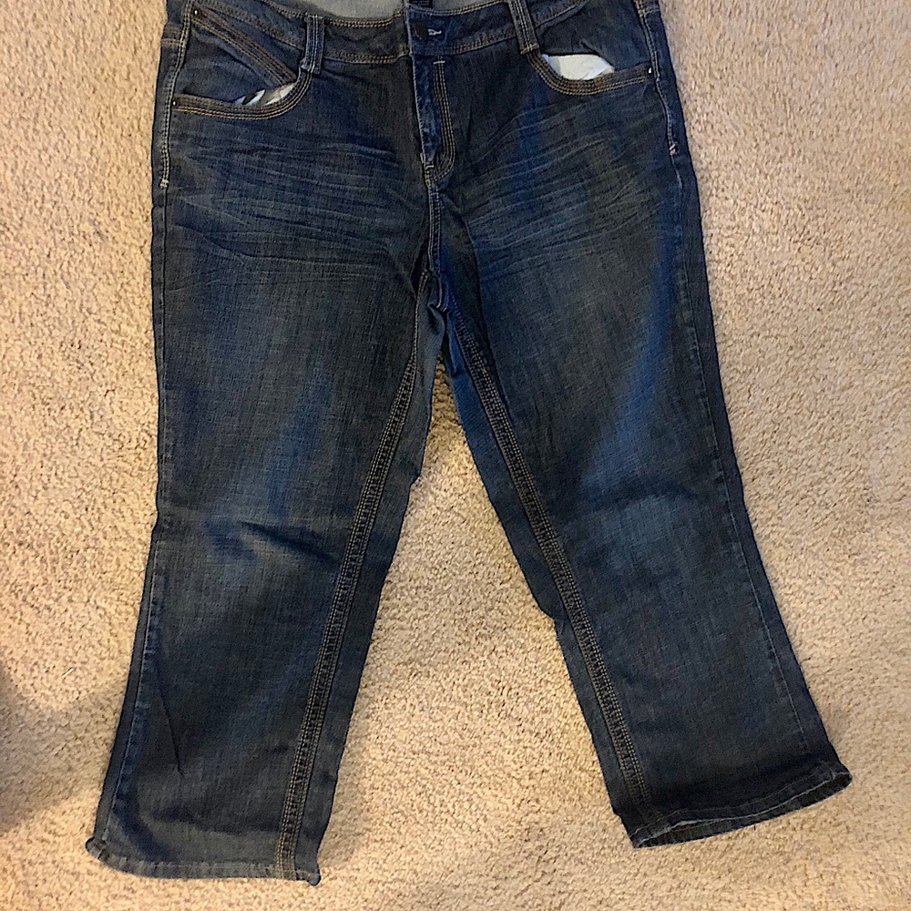 Lane Bryant Jeans